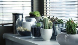 20 Interior Design Thesis Topics | Thesis Writing Help, Dissertation Tips, Research Proposal Guide At MastersThesisWriting.com