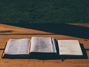 Thesis for Argumentative Essay