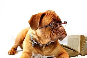 Manage Your Studying for PhD